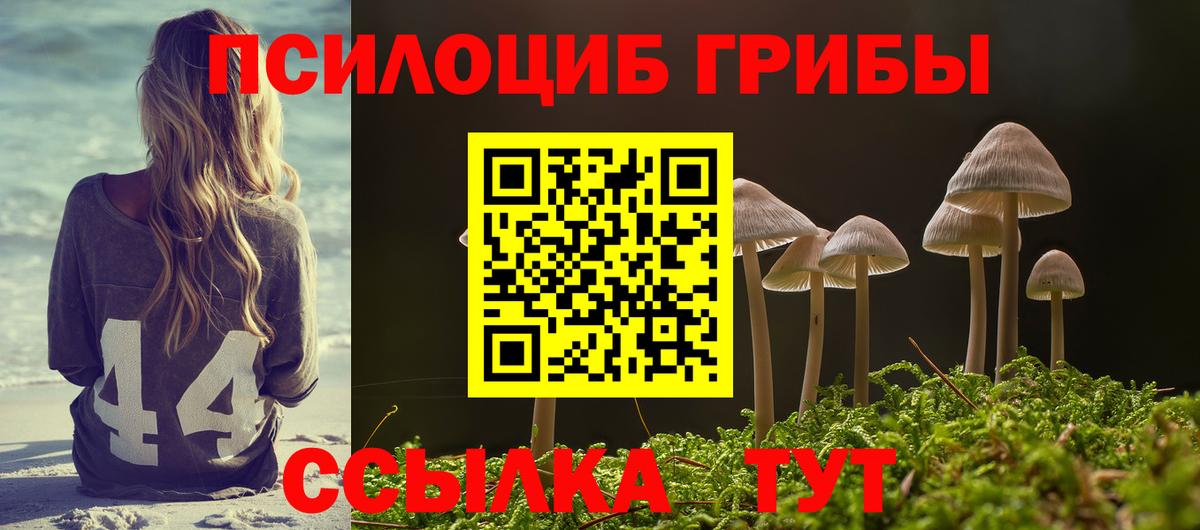 Псилоцибиновые грибы прущие грибы Звенигород