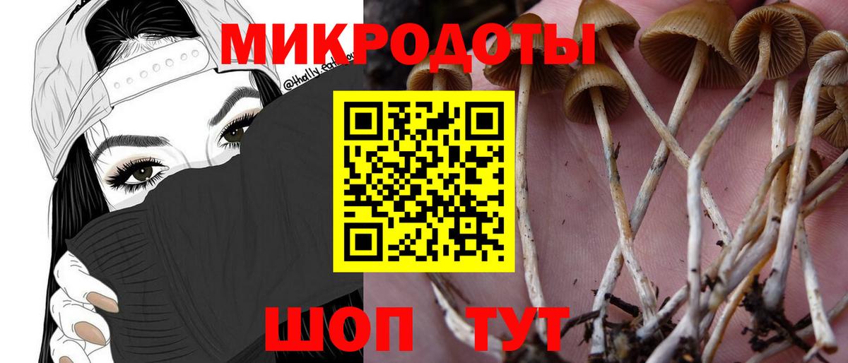 Галлюциногенные грибы мухоморы  Вход с VPN  Галлюциногенные грибы мухоморы  Звенигород 